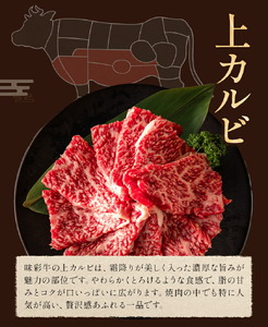 味彩牛 上カルビ 約400g 菊池地域農業協同組合(JA菊池まんまキッチン)《90日以内に出荷予定(土日祝除く)》熊本県 菊池市 上カルビ カルビ 焼肉 焼き肉 カット済み 牛肉 お肉 熊本県産 九州産 国産 冷凍 送料無料