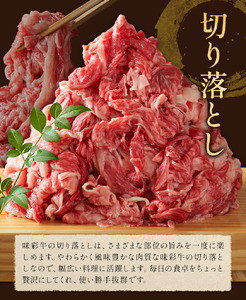 味彩牛 切り落とし 約600g×2パック 計1.2kg 菊池地域農業協同組合(JA菊池まんまキッチン)《90日以内に出荷予定(土日祝除く)》熊本県 菊池市 切落し スライス済み 小分け 牛肉 お肉 熊本県産 九州産 国産 冷凍 送料無料