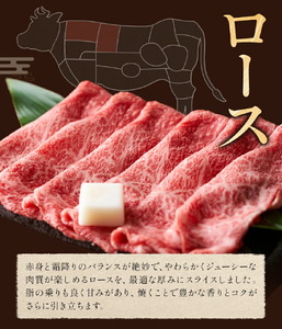 味彩牛 ロース すきやき用 約400g 菊池地域農業協同組合(JA菊池まんまキッチン)《90日以内に出荷予定(土日祝除く)》熊本県 菊池市 ロース すき焼き スライス済み 牛肉 お肉 熊本県産 九州産 国産 冷凍 送料無料