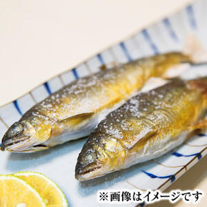 若鮎3.1㎏【冷凍】 N070-YC230_2