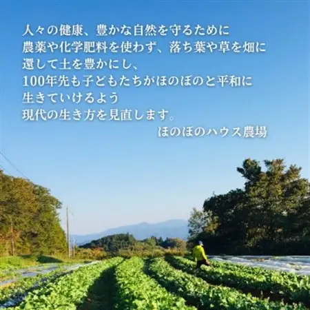 【畑から直送】岡山美作産　旬を楽しみ味覚を育む野菜約8種(約5kg)_野菜 玉ねぎ  たまねぎ タマネギ  野菜 じゃがいも いも ジャガイモ 馬鈴薯  野菜 さつまいも いも サツマイモ 薩摩芋  野菜  いも イモ 芋  野菜 人参 根菜 にんじん ニンジン  野菜 大根 根菜 だいこん ダイコン  野菜 にんにく・生姜 根菜 ニンニク にんにく しょうが ショウガ  野菜  根菜   野菜 かぼちゃ  カボチャ 南瓜  野菜 茄子  なす ナス  野菜 レタス    野菜   _【配送不可地域：離島】【1524200】