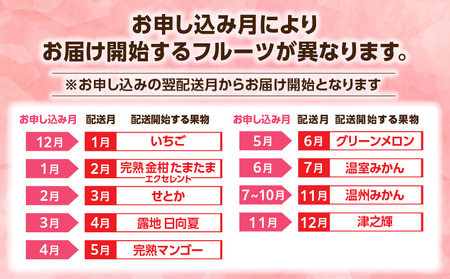 【数量・期間限定】特選！旬のフルーツ9ヶ月定期便vol.1 旬 フルーツ 果物 定期便 くだもの いちご マンゴー 金柑