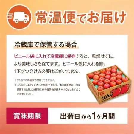 【先行受付】JA中野市 「サンふじ」ご家庭用 訳あり「小玉」 5kg以上(18～23玉入)【1526204】