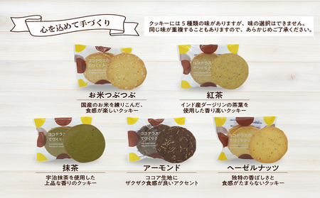 ココテラスのギフトバッグ2つセット カステラ マドレーヌ クッキー 焼き菓子 詰合せ 可愛いギフト スイーツ 洋菓子 和菓子 手土産 ましかくカステラ ギフト プレゼント プチギフト グルメ おしゃれ ヘーゼルナッツ アーモンド 愛知県 常滑市