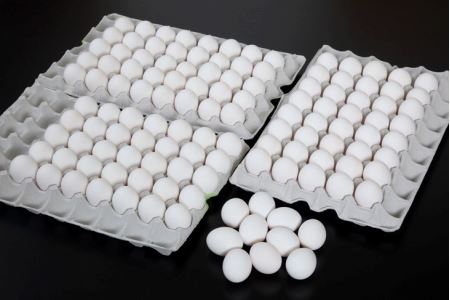 ７%の卵 120個　三代目卵三兄弟【毎月限定50セット】◇