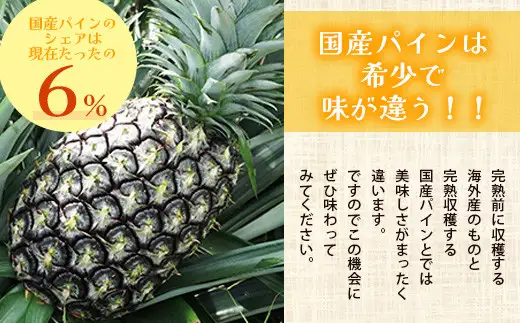 【先行予約】石垣島産 ピーチパイン 3玉 約2.7・
