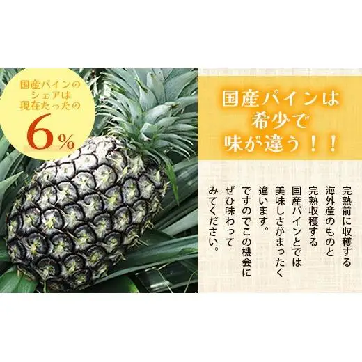 【先行予約】石垣島産 ハワイ種パイン 3～4玉セット 約4.2㎏　TD-7