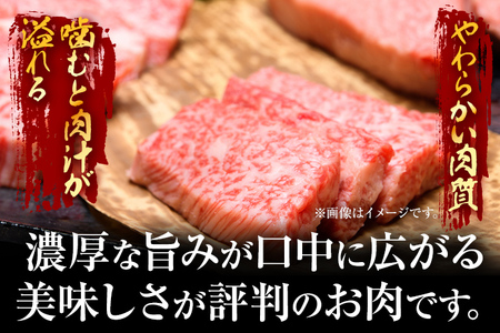 博多和牛切り落とし 訳あり A4～A5 (肩ロース・バラ）500g 黒毛和牛 CP021