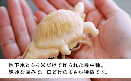 【お中元対象】行列のできる アイスクリーム 屋 カメ六さん  ジェラート 最中 8個（あんこなし） アイス 食べ比べ ギフト 和 スイーツ プレゼント 糸島市 / LoiterMarketLABO [AGD033]