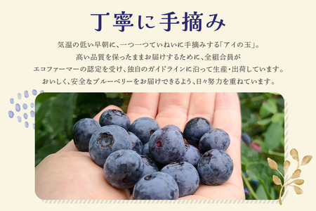 《数量限定・期間限定》 【アイの玉】毎日！朝摘み生ブルーベリー(2L) 数量限定 期間限定 ブルーベリー フルーツ 果物 くだもの 冷蔵 大粒 新鮮 生果 国産 73-A 【2026年6月15日より順次発送予定・7月31日に受付終了】