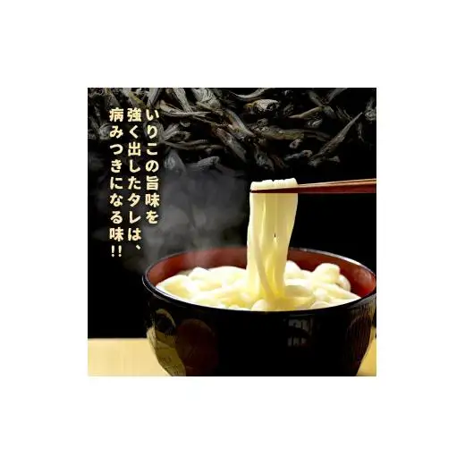 讃岐うどんYouTuberヤグタウン監修！いりこ油うどん(2食入×5袋）