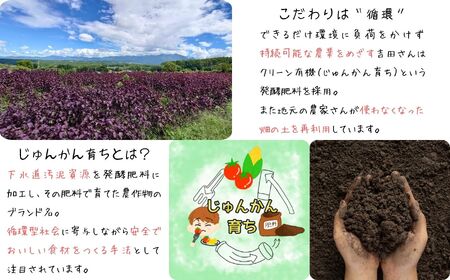 濃縮 赤紫蘇シロップ ６倍希釈 500ml×３本 | 紫蘇シロップ 馨工房 
