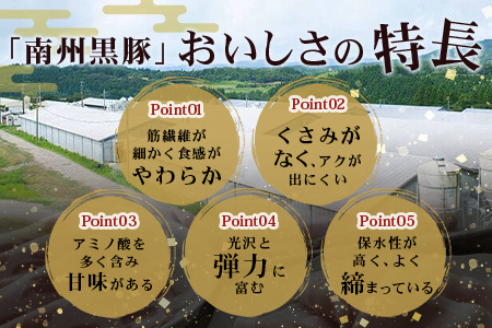 【かごしま黒豚】炭焼き焼豚2本詰合せ（ノン・アッド） 約400g NS-520 | 肉 お肉 豚肉 豚 にく ぶた 焼き豚 国産 チャーハン チャーシュー ご飯がすすむ おかず 冷凍 ギフト対応可 着色料 保存料 不使用 産地直送 鹿児島県 南大隅町 南州農場