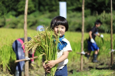 最上町の地酒　「山と水と、」生酒2本