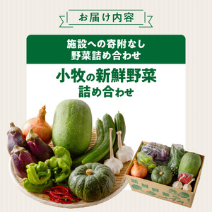 ネオコスモ農園で採れた小牧の野菜詰め合わせ[124N01]  新鮮 産地直送 採れたて 旬野菜 おまかせ野菜 季節野菜 詰合せ 詰め合わせ 盛り合わせ たっぷり野菜 野菜セット 大容量野菜 トマト ナス ピーマン かぼちゃ 冬瓜 ショウガ ネギ にんにく じゃがいも さつまいも 玉ねぎ など
