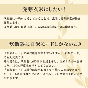パックご飯 熟成玄米ご飯(酵素玄米) 手作りセット 3合pac×6個 パックごはん | パックご飯 パックごはん 新潟県 弥彦村