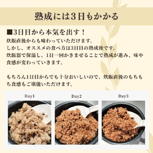 パックご飯 熟成玄米ご飯手作りセット 3袋と熟成発芽玄米ご飯ぱっく 3個セット×3 パックごはん | パックご飯 パックごはん 新潟県 弥彦村
