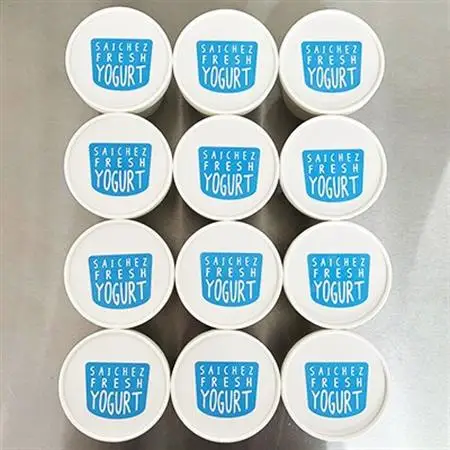 サイチェス　オリジナルフローズンヨーグルト(130ml) 12個セット_菓子・スイーツ アイス・ジェラート  _【配送不可地域：離島】【1515458】
