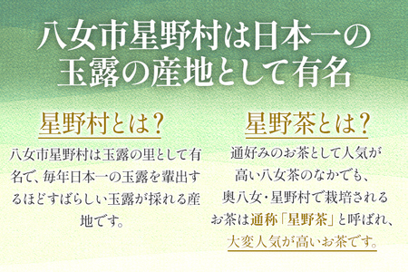【2026年産】 【新茶ギフト】緑茶 星野茶 八女茶 お茶 星野村の八女茶 飲みくらべ2本セット 化粧箱入り お取り寄せグルメ お取り寄せ 福岡 お土産 九州 福岡土産 取り寄せ グルメ 福岡県