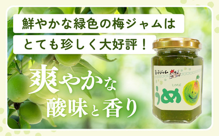 【先行予約】【福井県産】梅を使った 梅ジャム× 6個セット 着色料・保存料不使用！【2026年6月下旬以降順次発送予定】 [m03-a047]