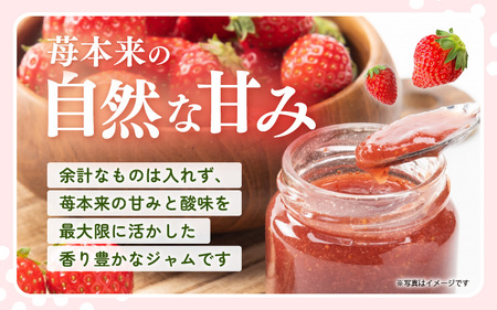 【福井県美浜町産】 苺を使った 苺ジャム × 6個セット 着色料・保存料不使用！ [m03-a048]