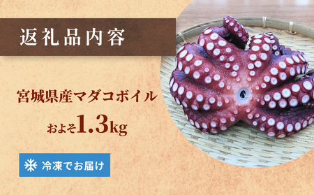 マダコ 煮たこ 石巻港 直送 たこ タコ ボイル 活マダコ 丸ごと おかず おつまみ