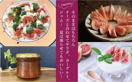 【福岡限定ブランド】いちじく とよみつひめ 約2.4kg （ 300g×8パック ）| いちじく 福岡県産 果物 フルーツ とよみつひめ 福岡県 大川市