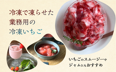 【2026年5月より発送】《 訳あり 》 冷凍いちご 品種おまかせ 3kg (500g × 6p) 簡易梱包 サイズ 不揃い のため 訳あり 訳アリ フルーツ 果物 苺 いちご イチゴ 紅ほっぺ よつぼし かおり野 アイス ヨーグルト 苺 family農園watanabe 子ども 小分け 家庭用 国産 産地直送 岐阜県 本巣市 2万 20000円 [mt1506]