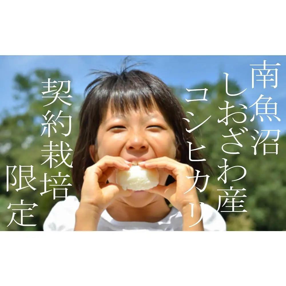 【令和8年産　新米予約】定期便3ヶ月：精米5Kg 契約栽培限定 南魚沼しおざわ産コシヒカリ【定期便 銘柄米 ブランド米 精米 こしひかり コシヒカリ 魚沼産 新潟米 ごはん】【2026年10月上旬から1ヶ月以内に順次発送予定】