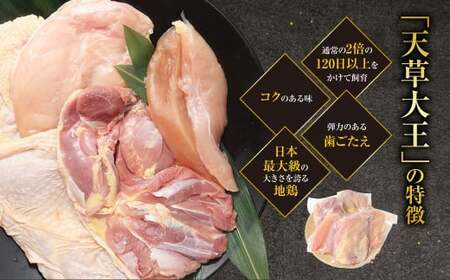 天草大王精肉セット（モモ、ムネ、ササミ） 約1.5kg×2セット 計約3kg 天草大王 モモ ムネ ササミ
