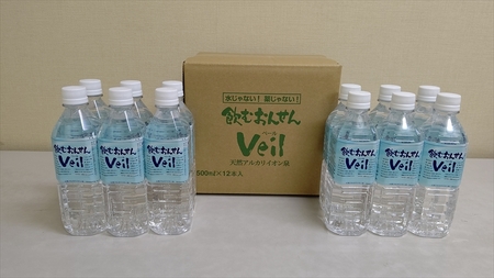 【定期便3ヶ月】飲むおんせんベール2L×6本入+500ml×12本入セット【 温泉水 温泉純度100％ 保存水 防災 神奈川県 山北町 】