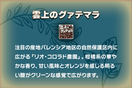 【ふるなび限定】[粉] 炭火焙煎コーヒー豆の詰め合せ『バランスのとれた味わい』セット FN-Limited-SP｜珈琲 ギフト お祝い アソートセット 飲み比べ お得 [0317]
