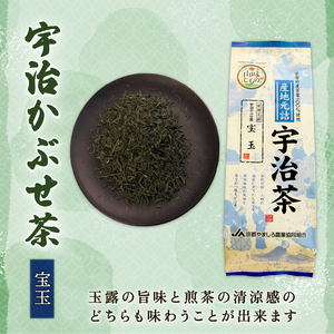 厳選 宇治茶3種セット（宇治玉露 山城の露・宇治かぶせ茶 宝玉・宇治煎茶 優等煎茶） 煎茶 宇治茶 かぶせ茶 お茶 緑茶 日本茶 茶 茶葉 おいしい 国産お茶 飲み比べ セット 贈り物 贈答 ギフト 京都府