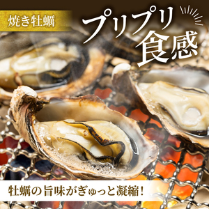 【牡蠣】 生食 殻付き12個 冷蔵  牡蠣