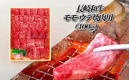  【全12回定期便】 長崎和牛 赤身定期便 希少部位ヒレ含む！総計4.4kg【田中精肉店】赤身 定期便 モモ ヒレ フィレ すき焼き 焼肉 ステーキ しゃぶしゃぶ