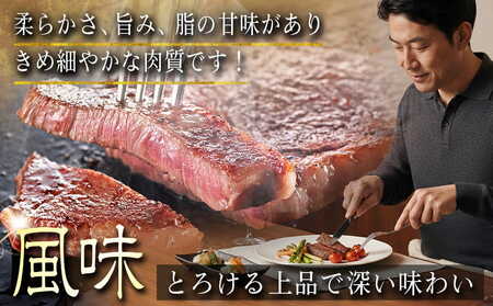 宮崎牛モモ・リブロースステーキ1.2kgセット_AD-2510_(都城市) 都城産 宮崎牛 モモ 100g サイコロステーキ 200g リブロースステーキ 300g 塩こしょう ステーキソース付