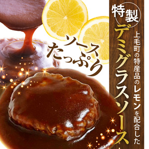 大豆ミートで作った美味しいデミグラスソースハンバーグ 150g×5個_KP8306