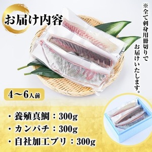 厳選お刺身BOX(4～6人前) 国産 お刺身 魚貝 魚介 鯛 カンパチ ブリ 海産物 刺身 おつまみ セット 【さるがく水産】akn028-16