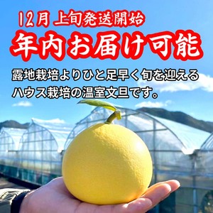 【先行予約】厳選 温室土佐文旦  大玉 2玉 〈贈答用木箱入り〉約600g×2個〈2026年12月上旬から発送〉 /ぶんたん ブンタン フルーツ 柑橘 みかん 果物 くだもの 土佐文旦の藤岡 旬 プレゼント ギフト 贈答 贈り物【土佐文旦の藤岡】 [BQBJ003]