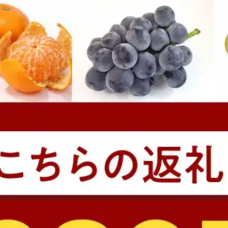 BF6064_【2027年先行受付】しらぬい（デコポン）18～22玉入り ※着日指定不可