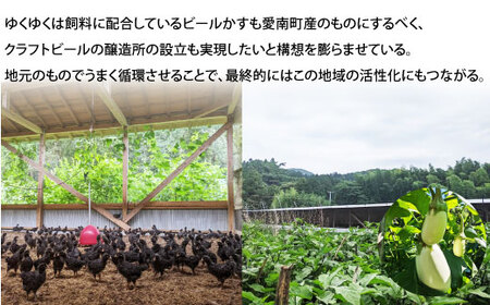 地鶏 愛媛 媛っこ地鶏 もも肉 約4kg 