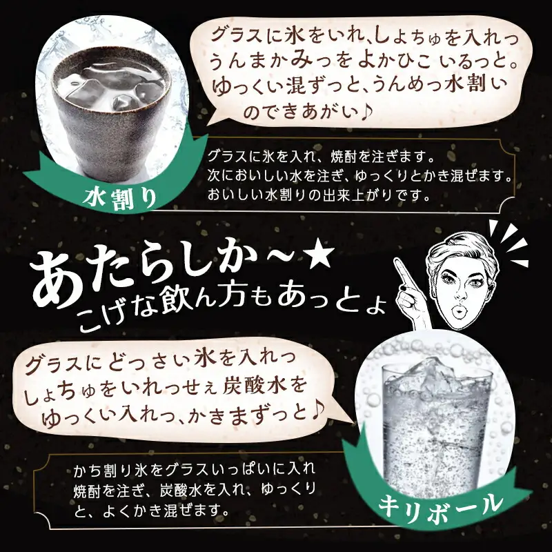 都城焼酎!12本堪能セット≪みやこんじょ特急便≫_AG-2201_(都城市) 本格芋焼酎 麦焼酎 白霧島 黒霧島 黒霧島EX 赤霧島 茜霧島 虎斑霧島 霧島するる 霧島ほろる KIRISHIMA NO.8 みやこざくら みやこんじょ黒 駒 25度 20度 各900ml