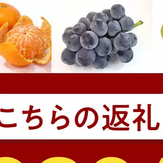 BF6067_【2027年先行受付】はっさく 赤秀品 Lサイズ 5kg ※着日指定不可
