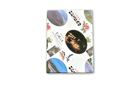 小泊銘菓 ごんげんざき 12個入【じゅうもんじ屋】 F6N-151