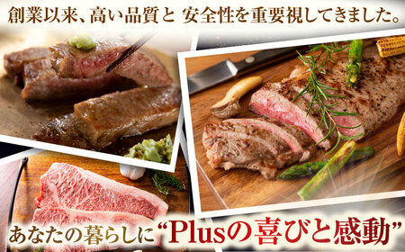 【A4~A5】長崎和牛サーロインステーキ　250g（250g×1枚）【株式会社 MEAT PLUS】[QBS013]