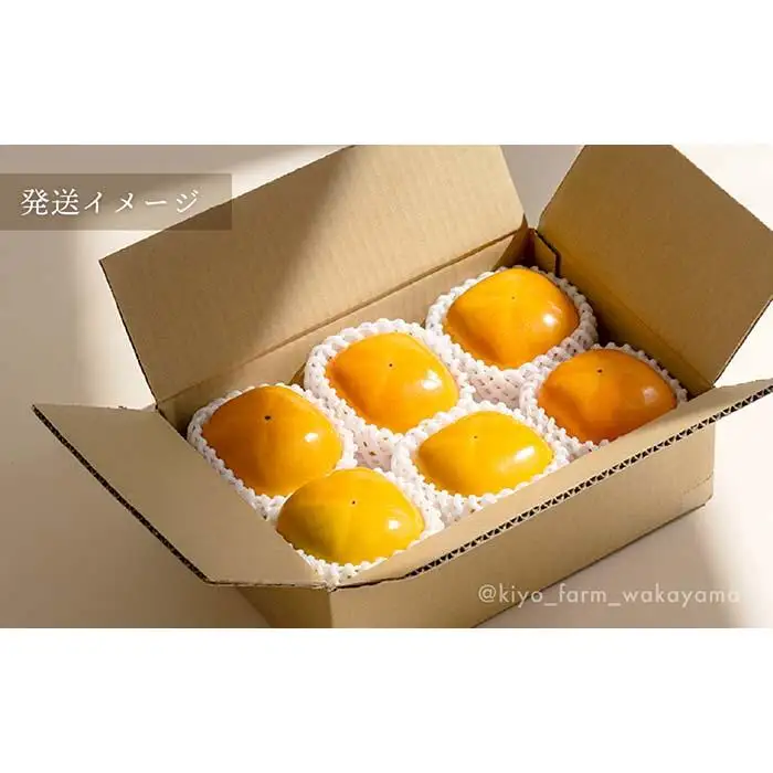 柿(種無し) 6個入 秀品大玉［2026年9月末頃より発送］［KT1］