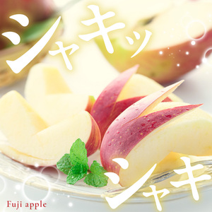 【先行予約】 令和8年産 舘山りんご ふじ 約2.5kg 9玉 ～ 11玉 