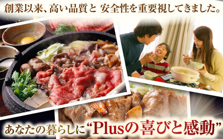 【全3回定期便】【A4~A5】長崎和牛切り落とし　1.2kg(600g×2p）【株式会社 MEAT PLUS】[QBS051]