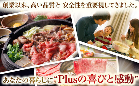 【全12回定期便】【厳選部位】【A4~A5】長崎和牛サーロインしゃぶしゃぶすき焼き用　600g（300g×2p）【株式会社 MEAT PLUS】[QBS086]