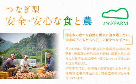 パパイヤ  5kg ゆいやわす《9月下旬-12月中旬頃出荷予定》